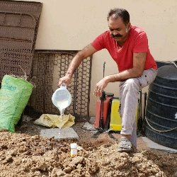 Bio Organic Farm
