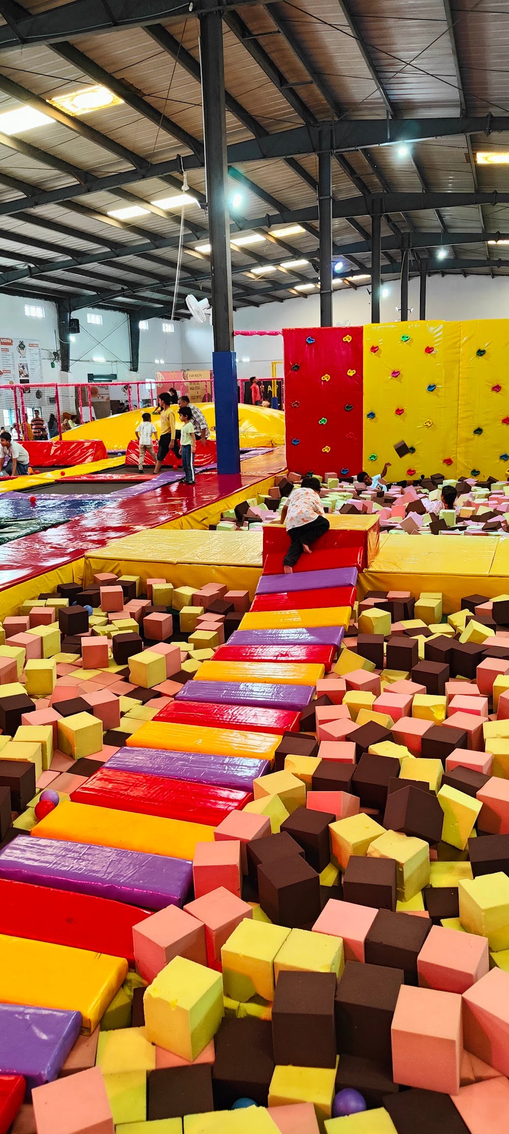 Jumping Frog Fun and Adventure park