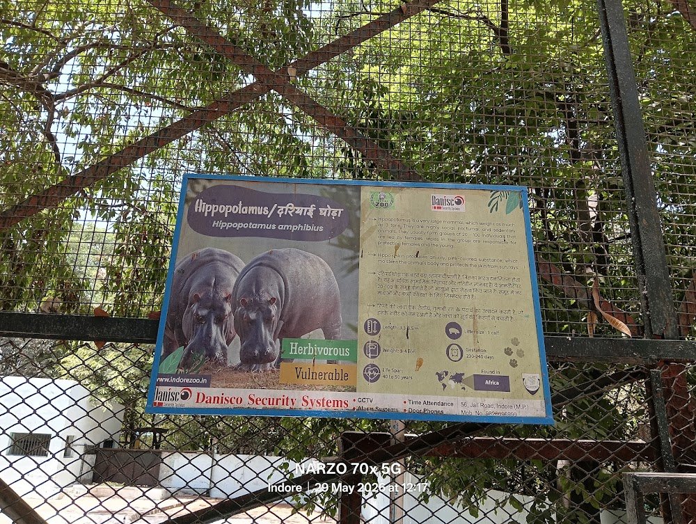 Nehru Park Indore Toy Train