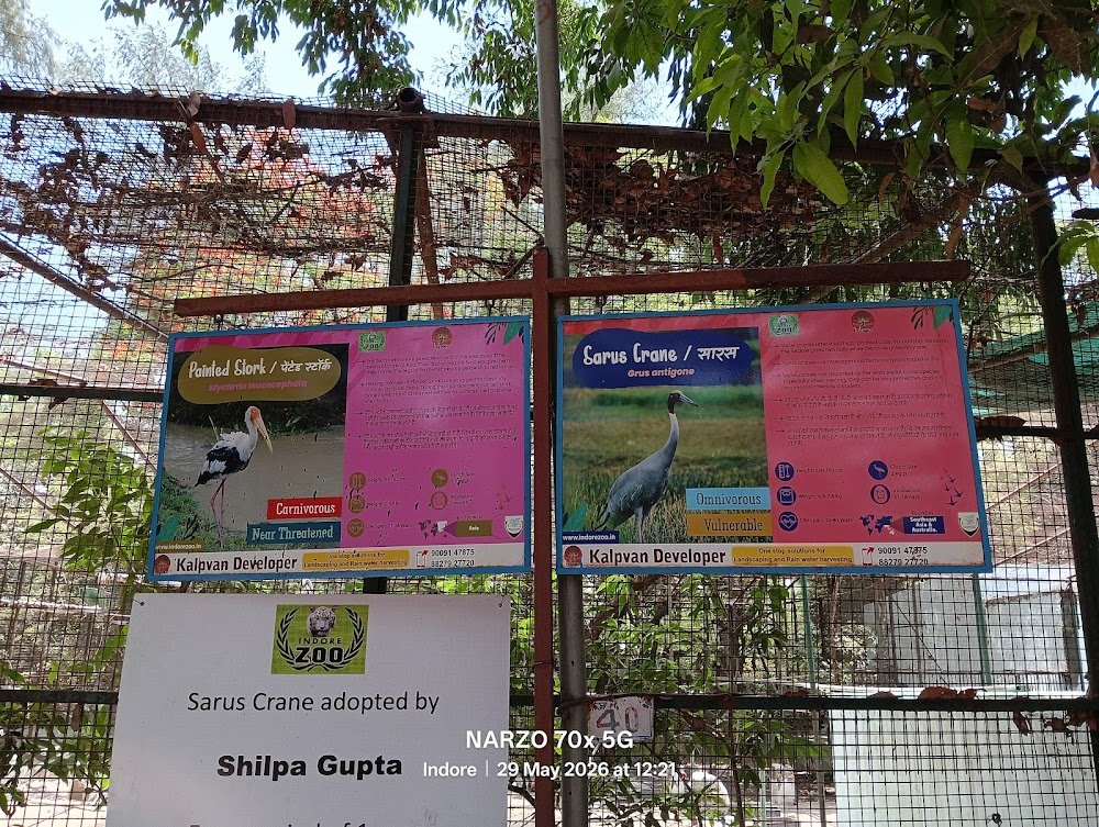 Nehru Park Indore Toy Train