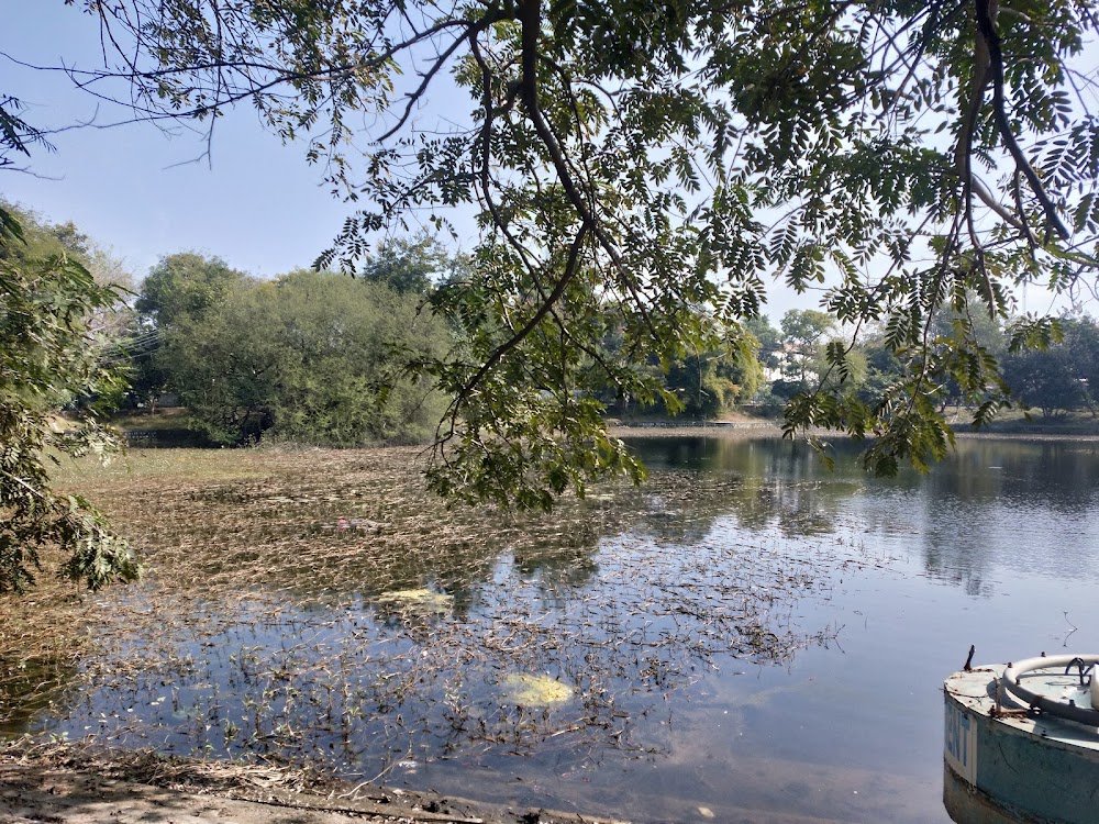 Lotus lake