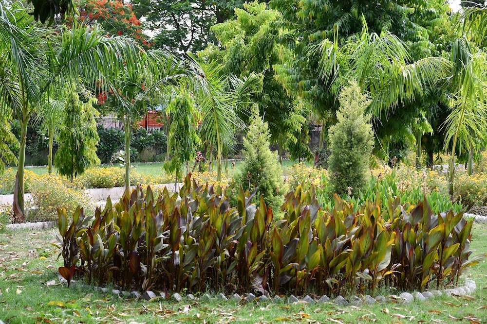 Reptile Conservation & Research Centre (Snake Park)