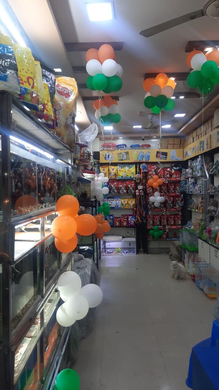FISH KING PET SHOP