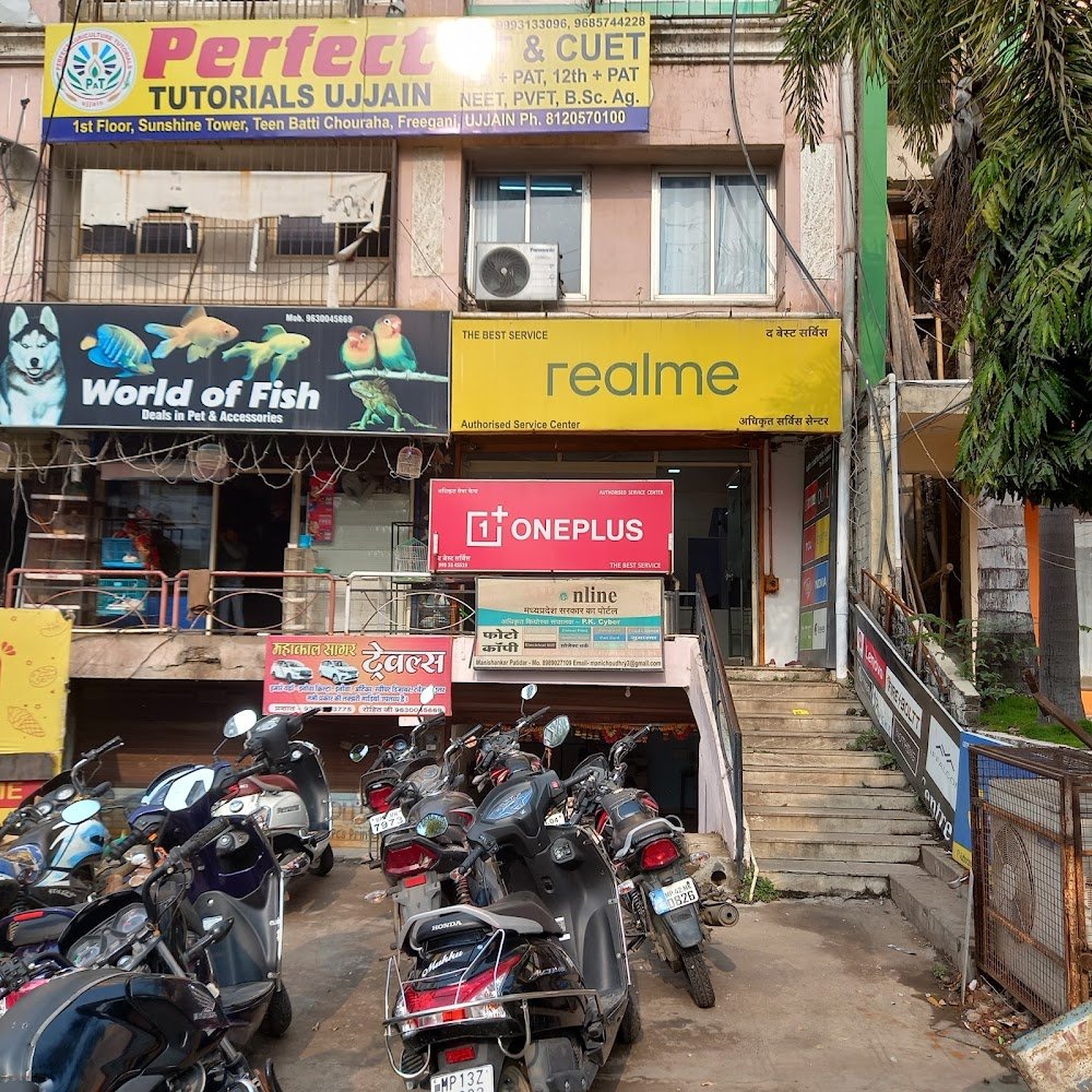 FISH KING PET SHOP