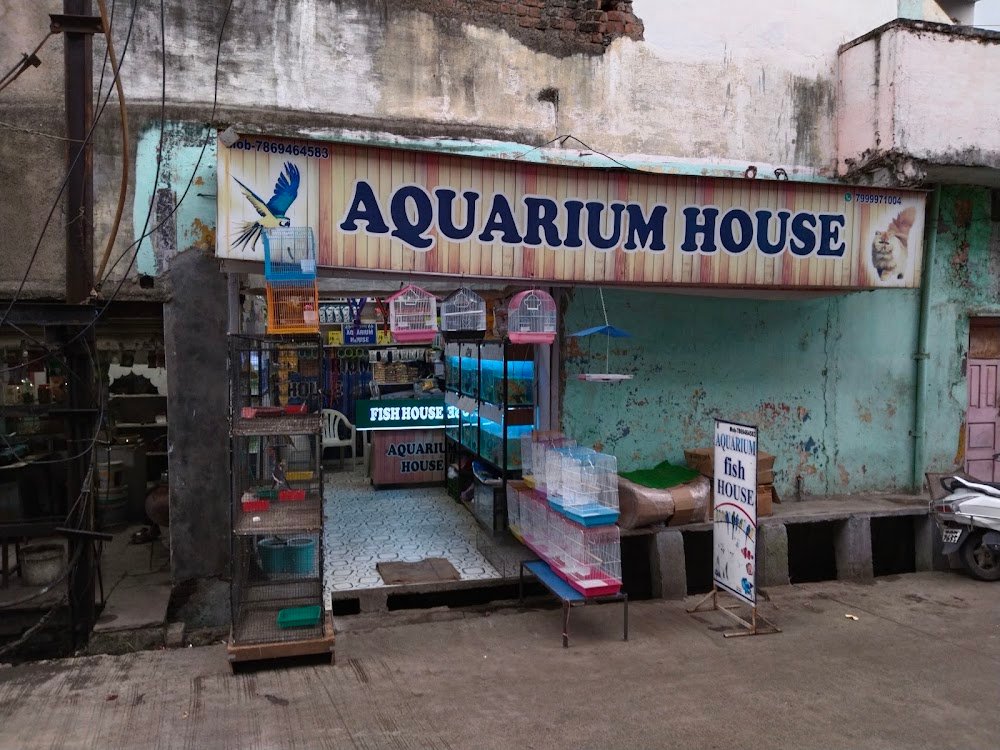 Fish Aquarium house