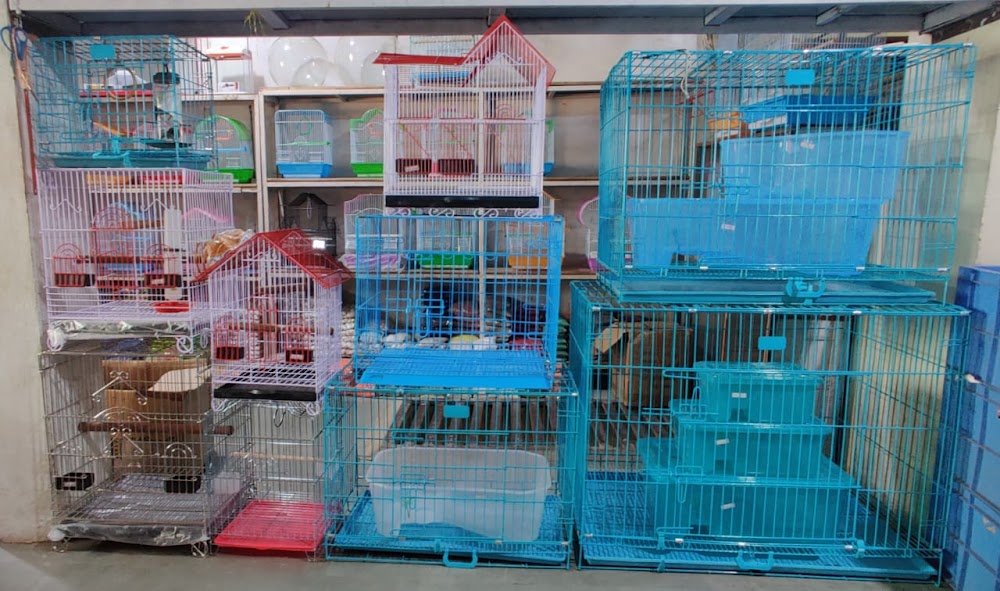Pet Shop Ujjain