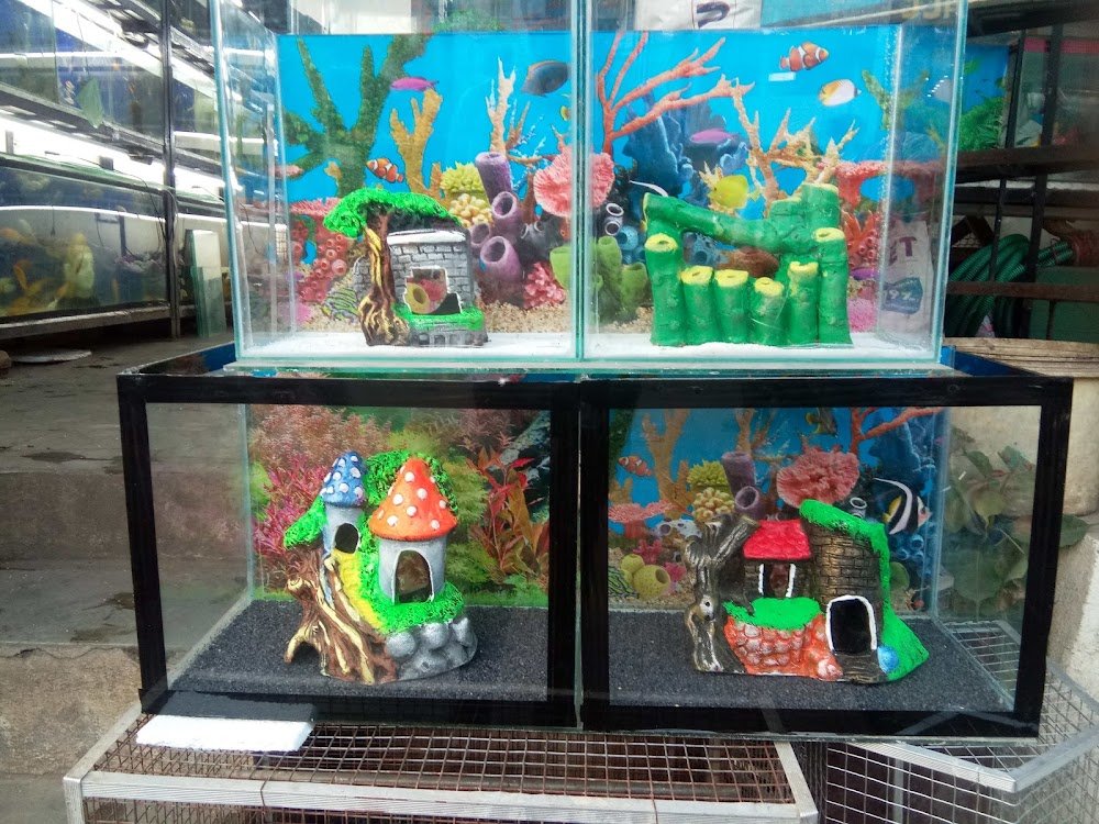 ND AQUA PET WORLD