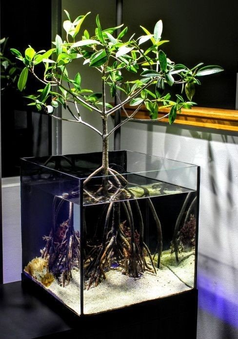 ND AQUA PET WORLD
