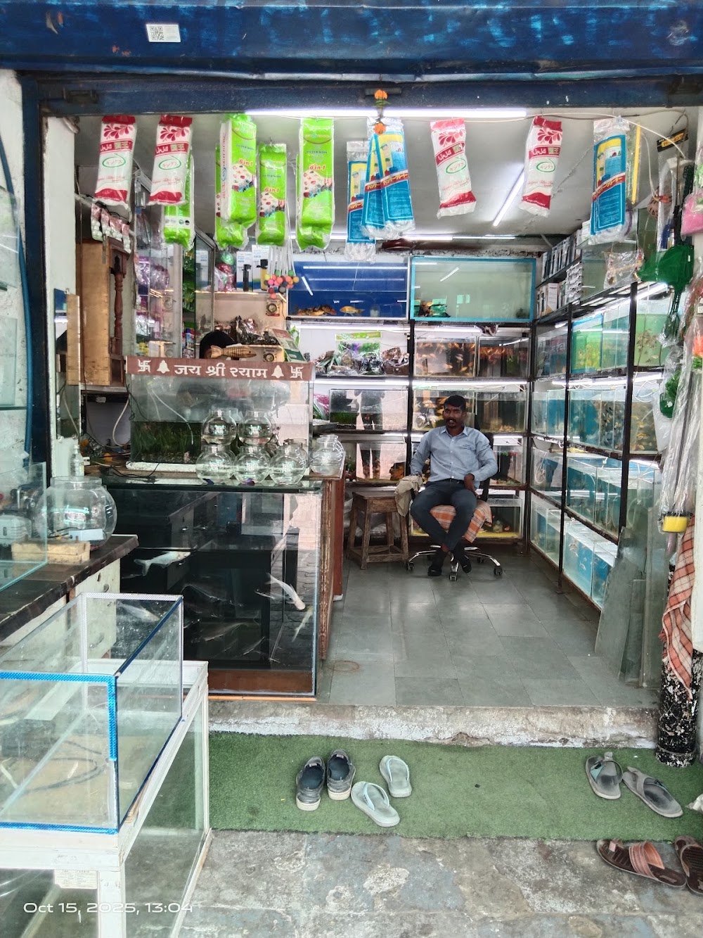Baba fish aquarium