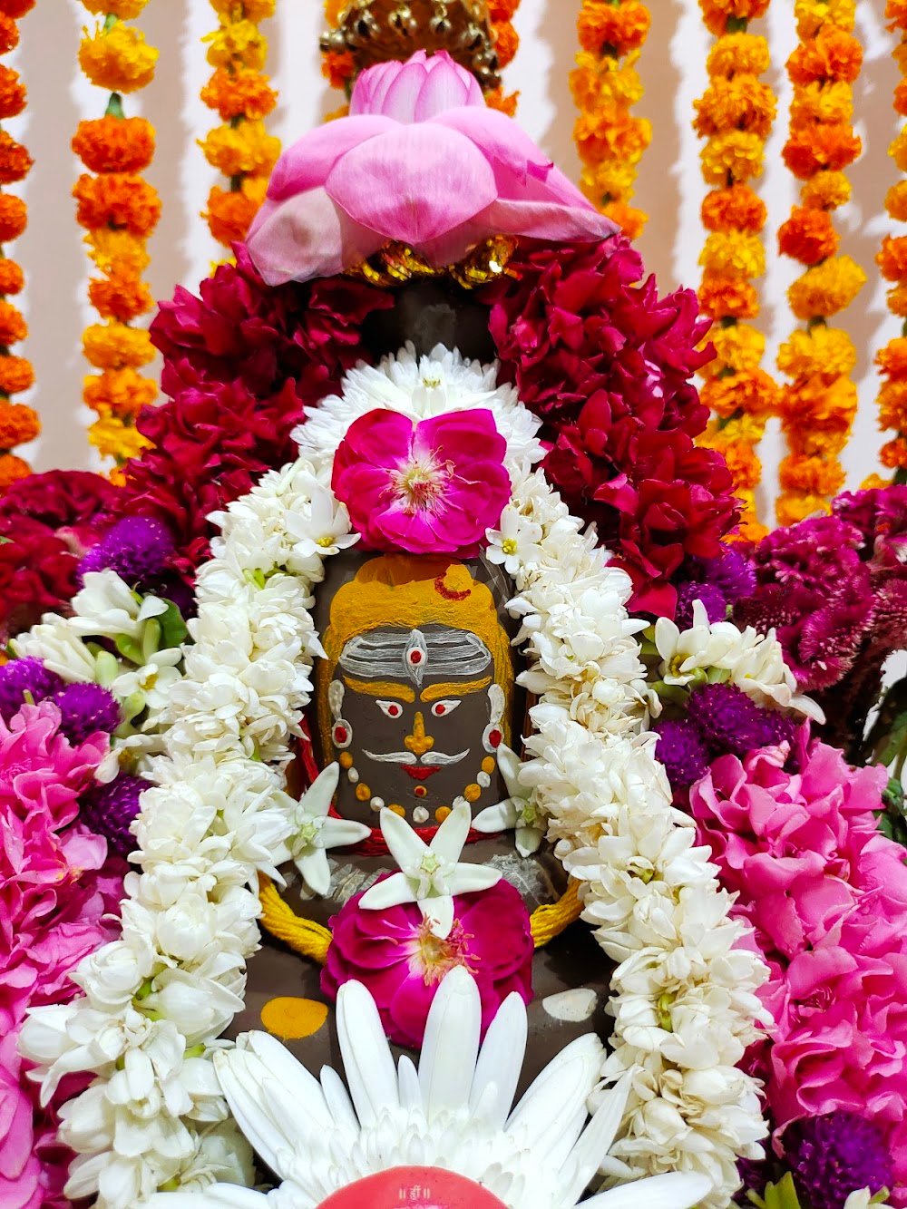 Shree Vedant Astro