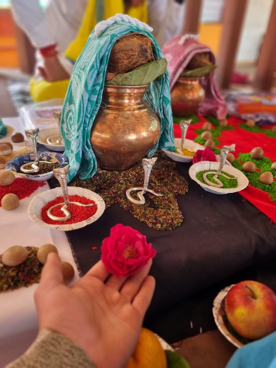 Kaal Sarp Dosh Puja Ujjain | Mahamrityunjaya Jaap Ujjain
