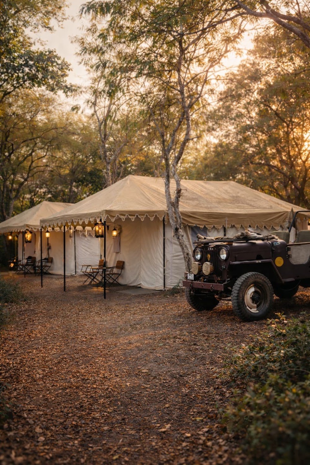 Andekha MP Camp