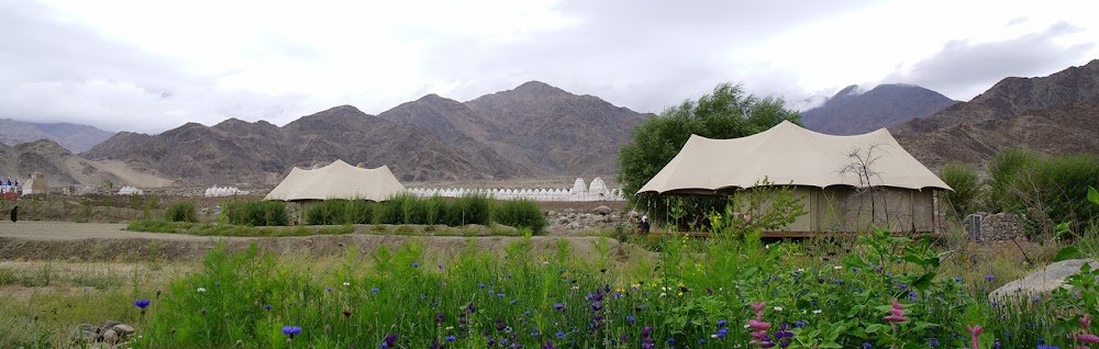 Chamba Camp Thiksey