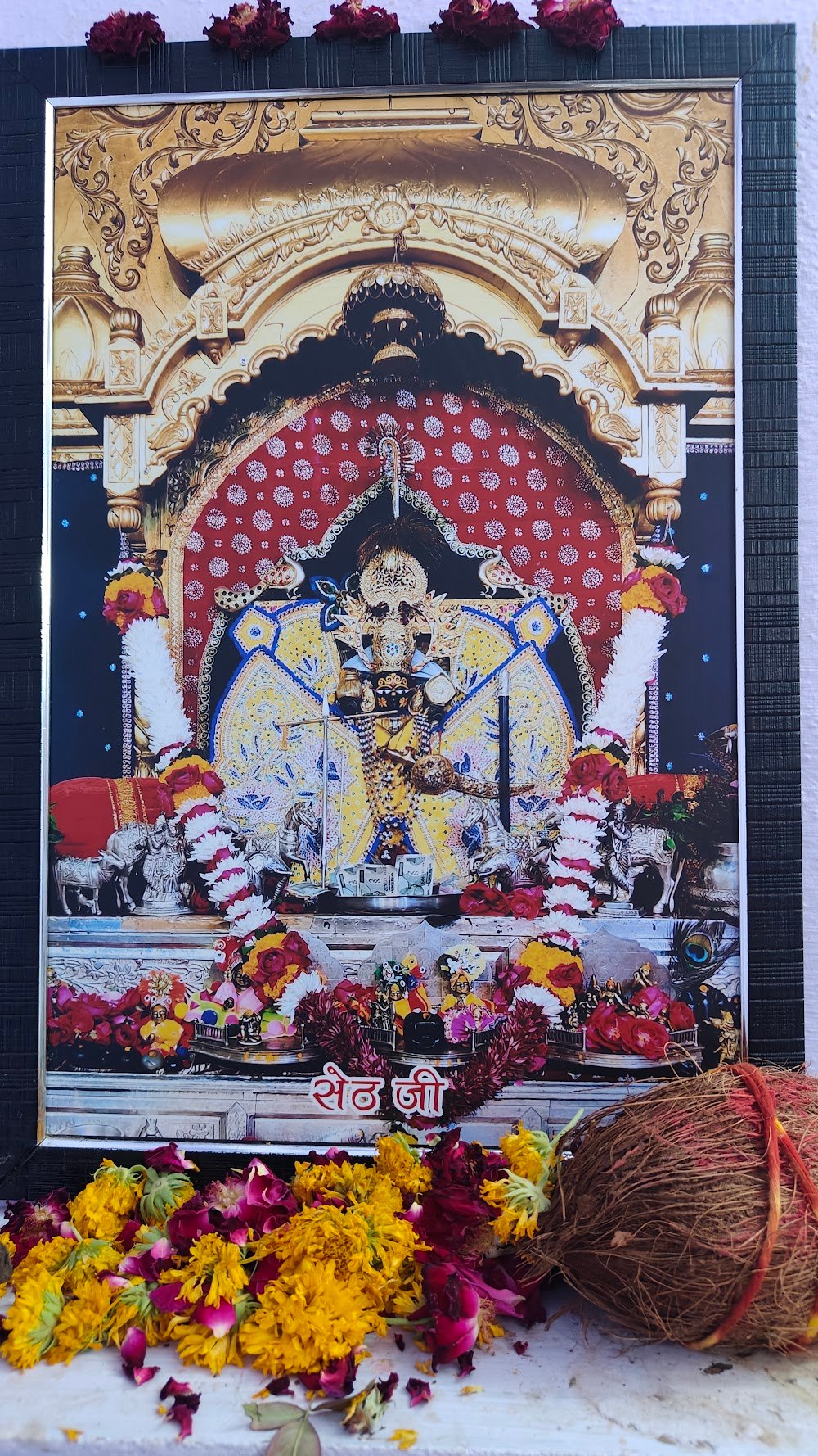 SHREE SETH JI ENTERPRISES