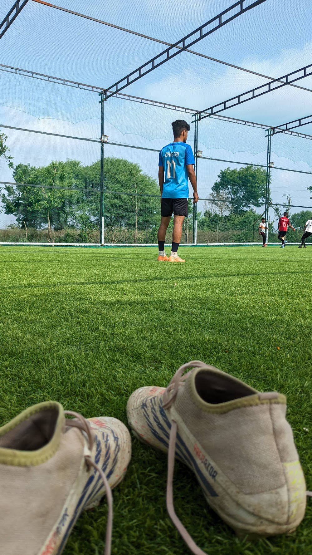 The 7S Turf
