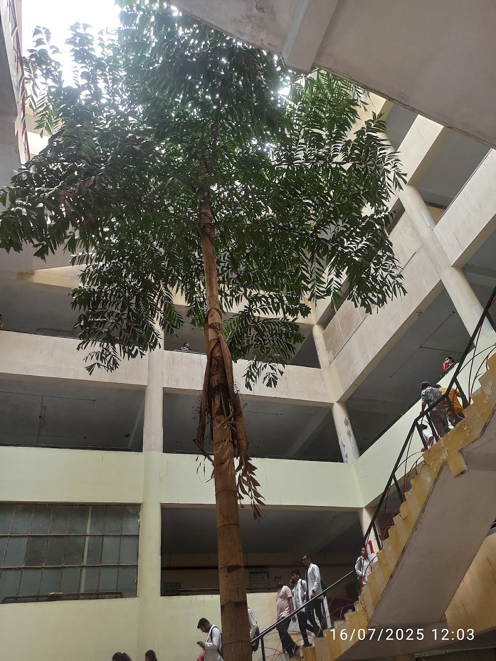 Medical College,Ruxmani Ben,Ujjain