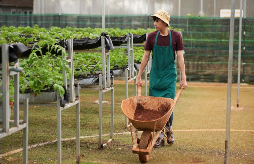 Organic Farming & Agro Products