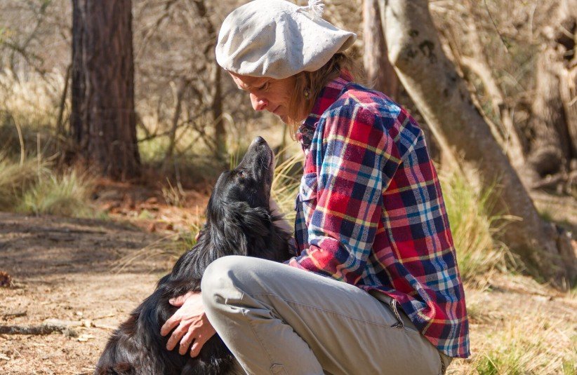 Animal Welfare & Rescue