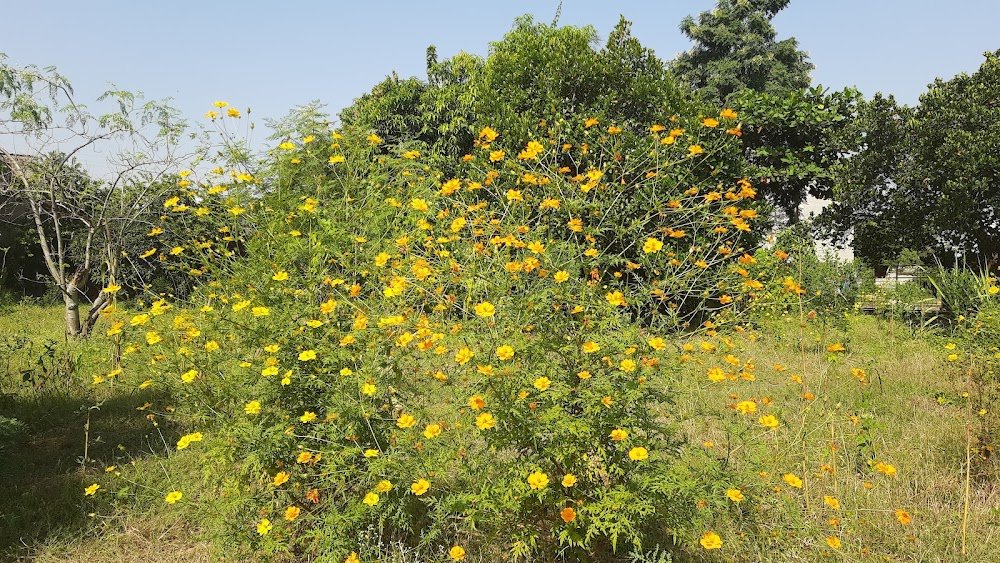 Shivashray Organic Krishi Farm House and Farm Stay