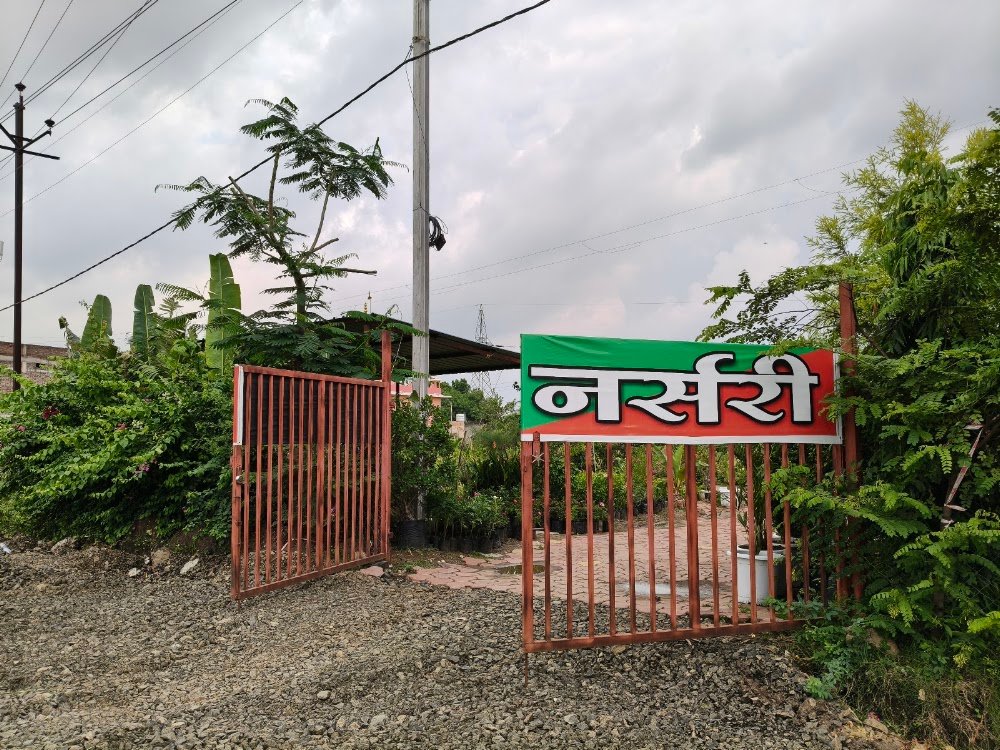 Anubhuti Nursery (Venture of Malwa Greens) Top Plants Nursery and landscaping work in the City