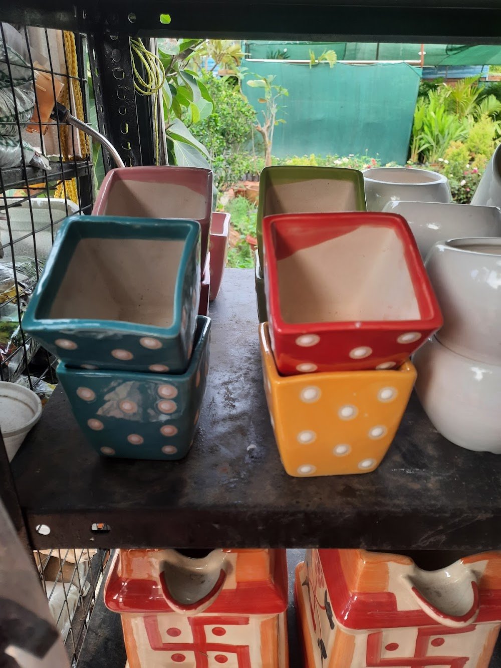 Anubhav Nursery