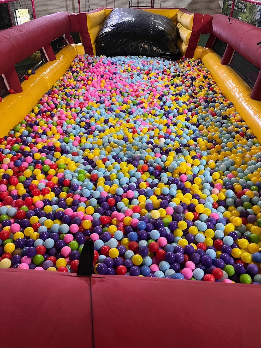 Jumping Frog Fun and Adventure park