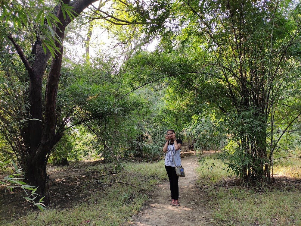 Eco Park