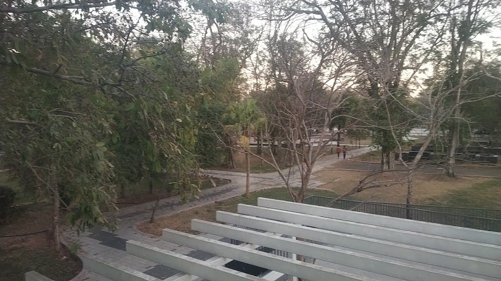 Mayur park