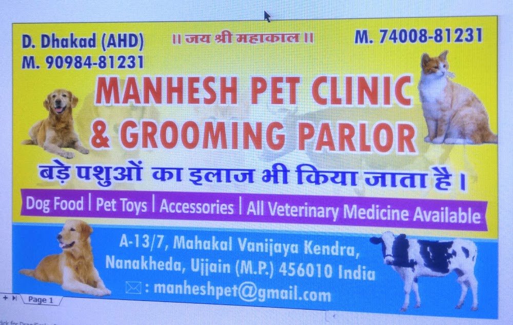 Dhakad pet world