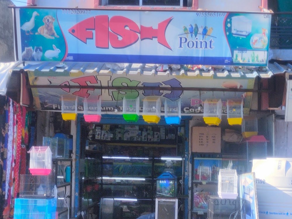 Fish Point & pet shop