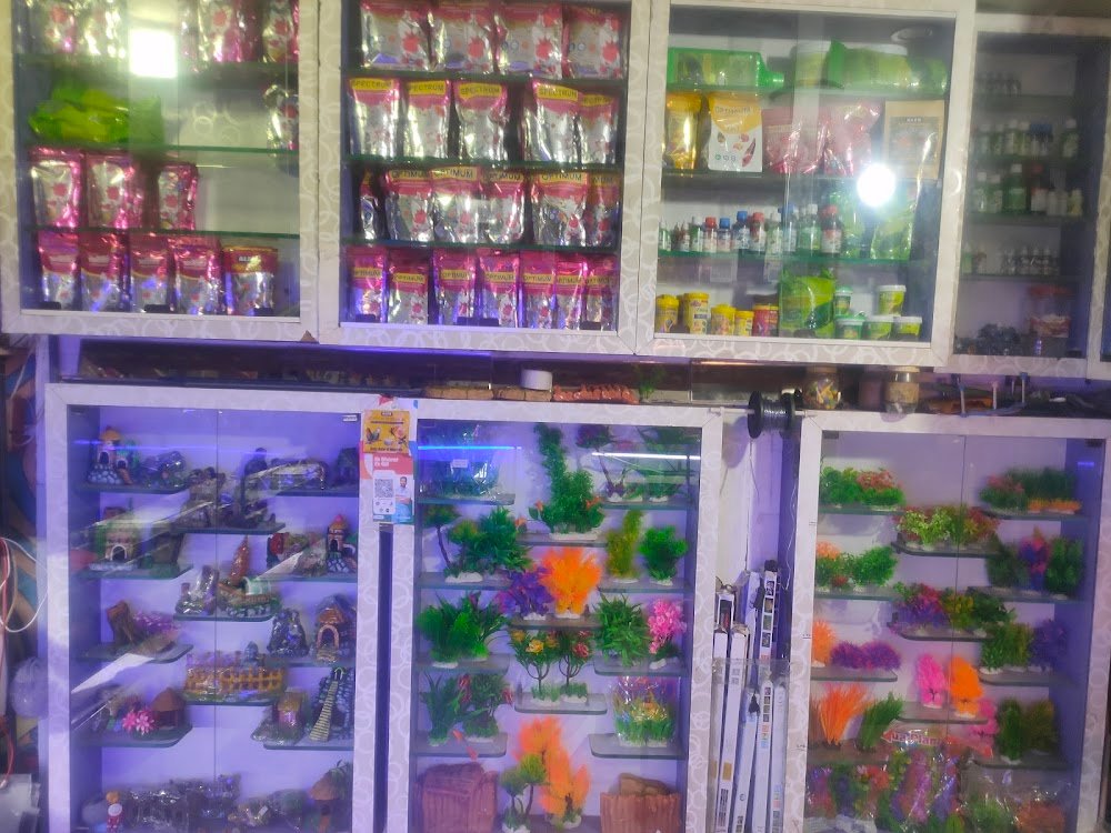 Fish Point & pet shop