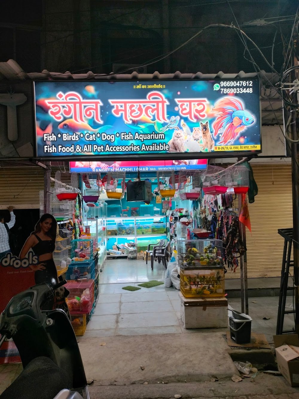 Rangeen Machhli ghar