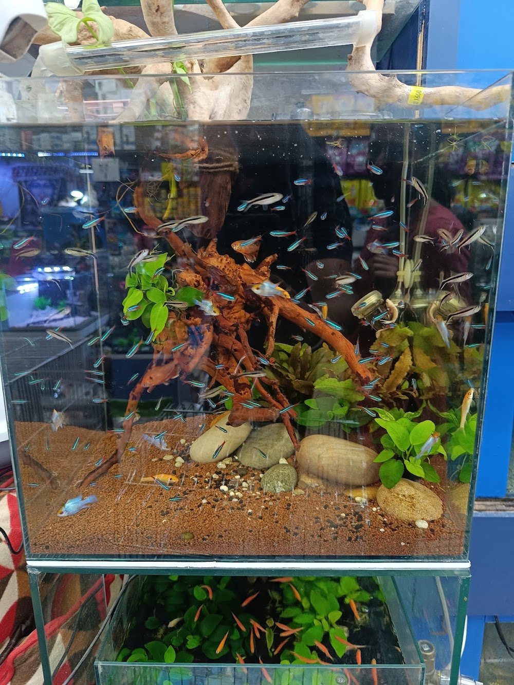 Sarkar Aquaworld