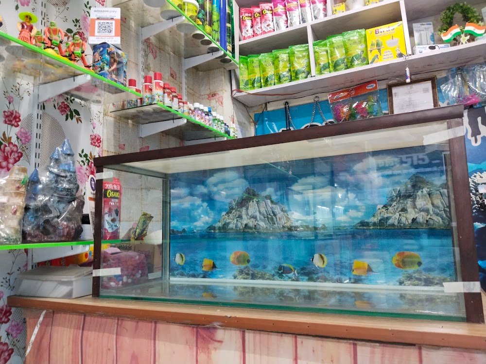 Fish Aquarium house