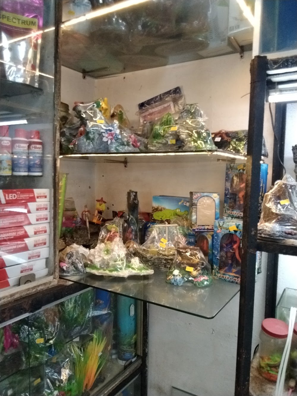 Baba fish aquarium