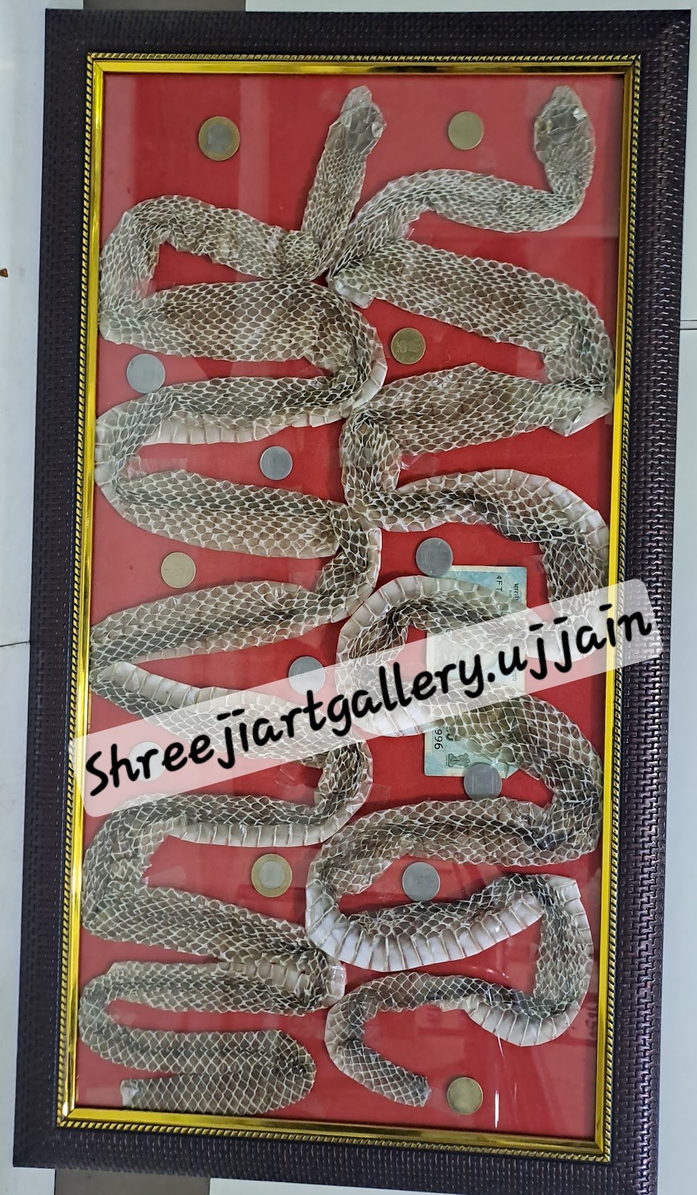 Shree ji gift & art gallery ujjain