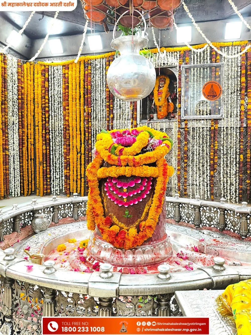 Pandit Ji for Kaal Sarp Dosh Puja Ujjain and Mangal Bhat Puja Ujjain