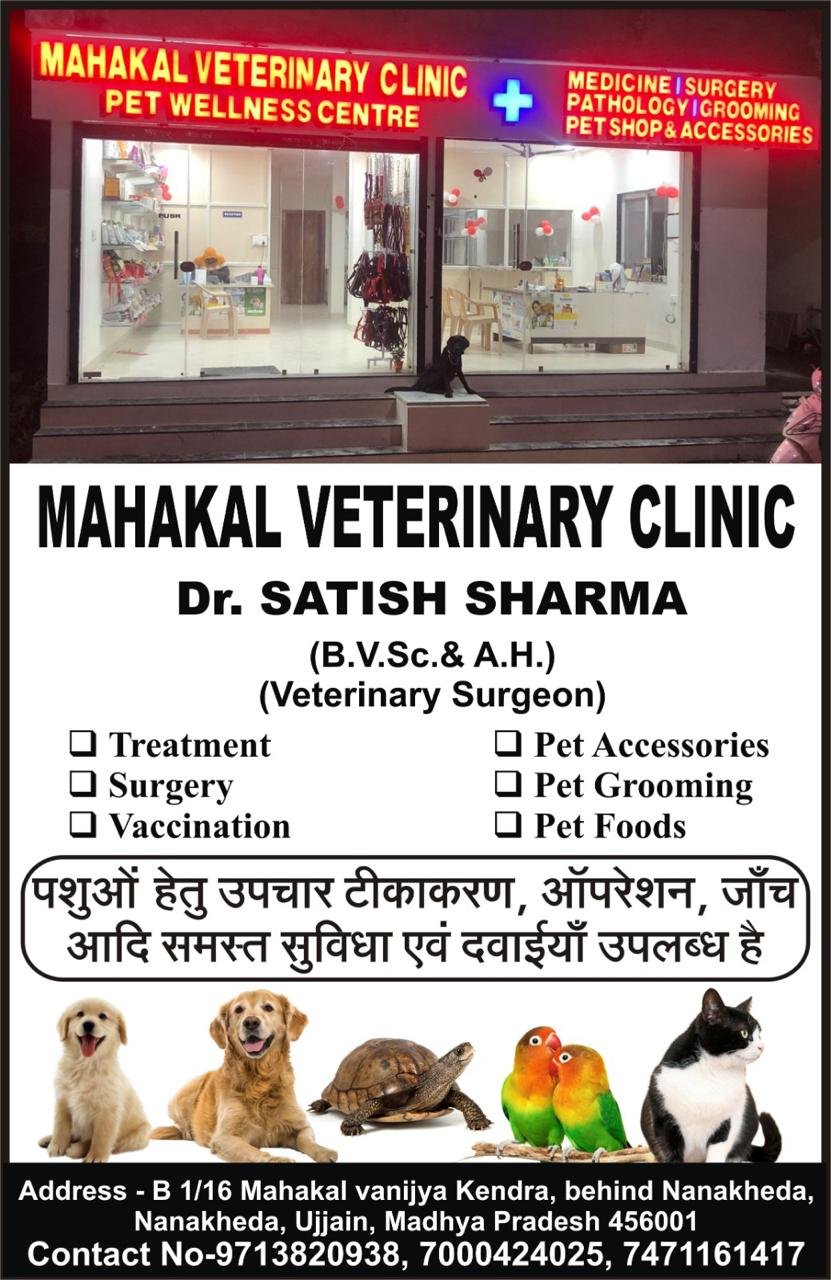 Mahakal Veterinary clinic Pet wellness center