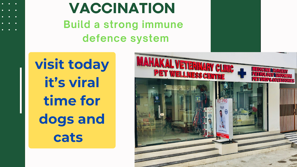 Mahakal Veterinary clinic Pet wellness center