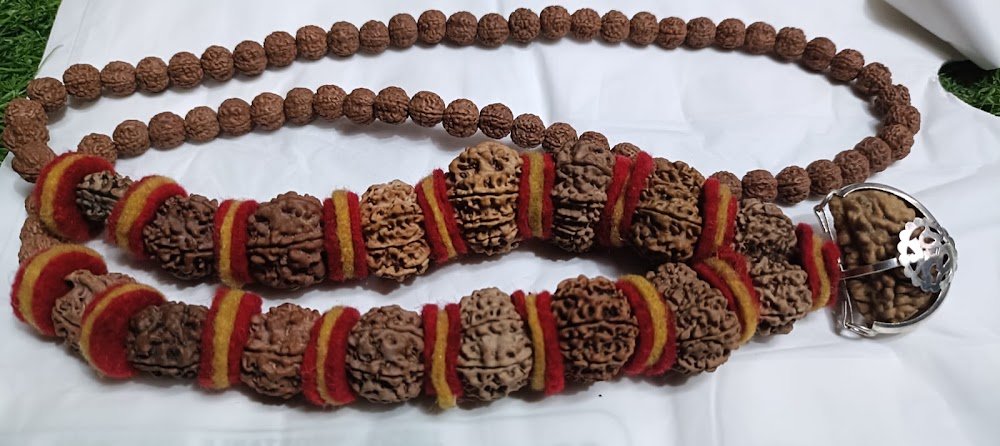 Nepali Rudraksha Ujjain