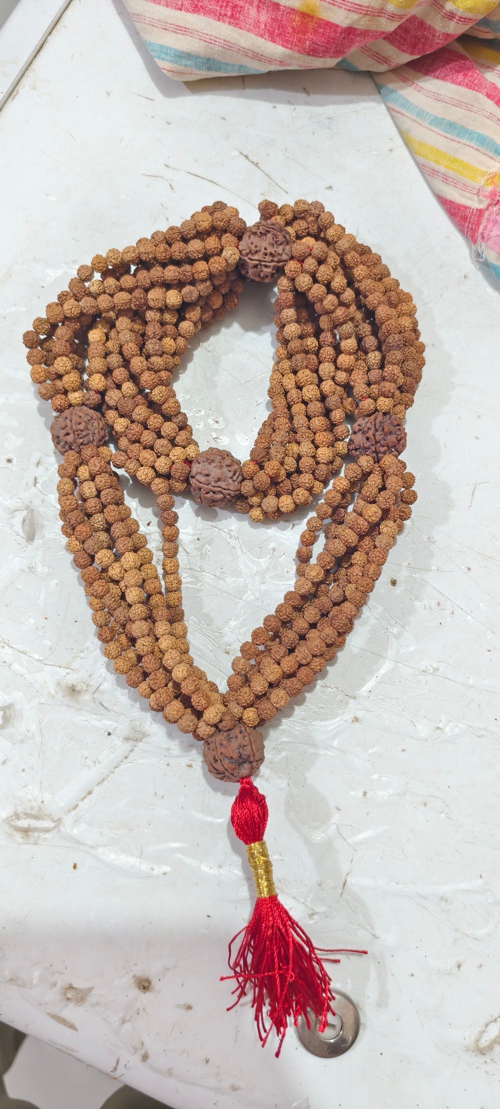 Nepali Rudraksha Ujjain